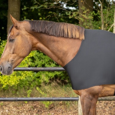 Cavalo castanho com capa elástica cinzenta ao ar livre