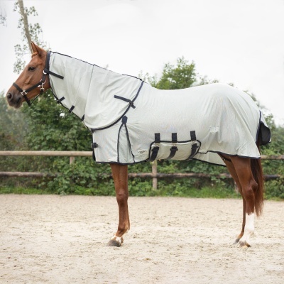 Cavalo com manta protetora cinza e preta ao ar livre