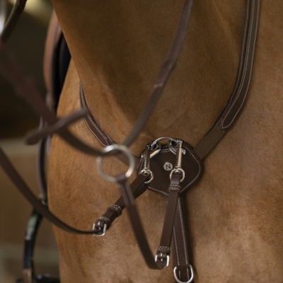 Cavalo com peitoral e selim em couro castanho escuro com acessórios metálicos