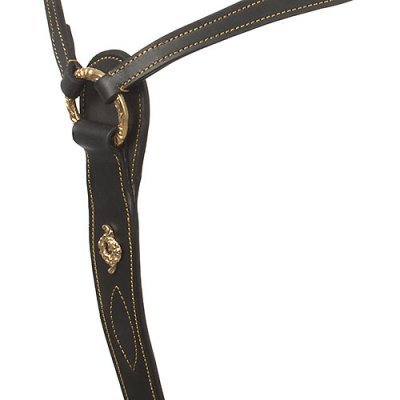 Argola com tira de couro negro e detalhes dourados