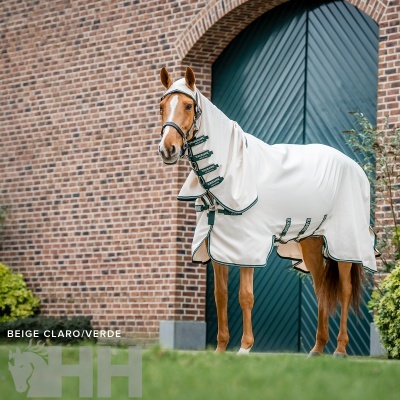 Cavalo vestido com roupa bege claro e verde em ambiente exterior com porta verde e parede de tijolos