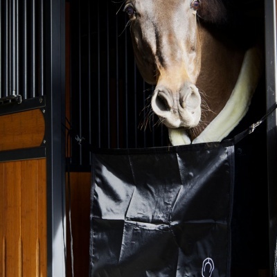 Cavalo castanho na porta de boxe com proteção de lã branca e porta preta com texto MONTAR.