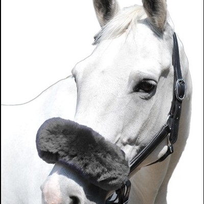Cavalo branco com cabedal preto e protetor cinzento de pelo macio no nariz