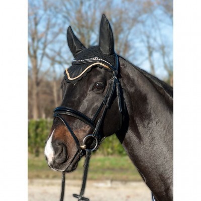 Cavalo castanho com aba preta e freio preto ao ar livre