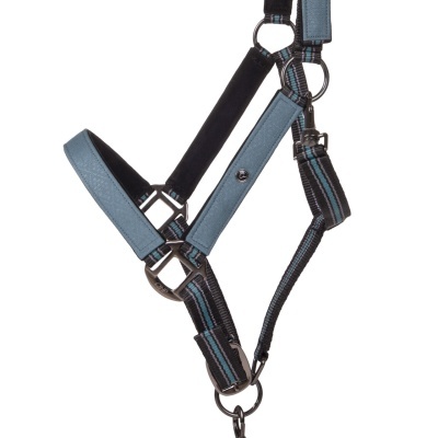 Cabresto para cavalo azul e preto com detalhes acolchoados e fivela metálica