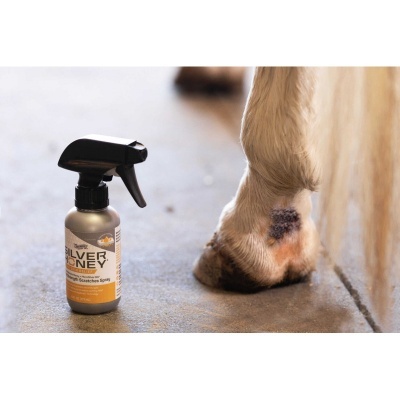 Frasco de spray Silver Honey junto ao casco de um cavalo com mancha escura na pele