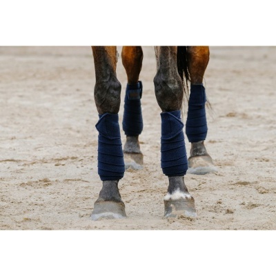 Pernas de cavalo com ataduras azuis escuras na areia