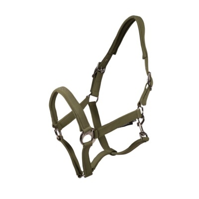 Cabresto para cavalo verde-oliva com argolas metálicas prateadas