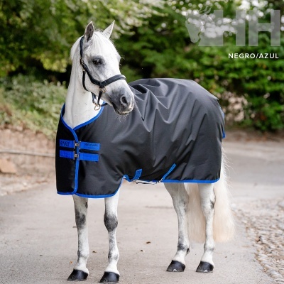Cavalo branco com peleteira preta e azul em exterior