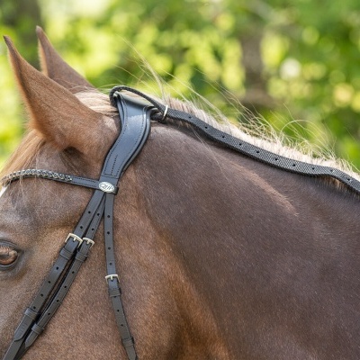 Cabresto preto em cavalo castanho com crina trançada