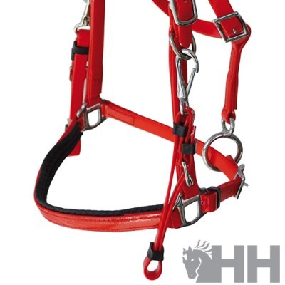 Cabresto para cavalo vermelho com fivelas e almofada preta