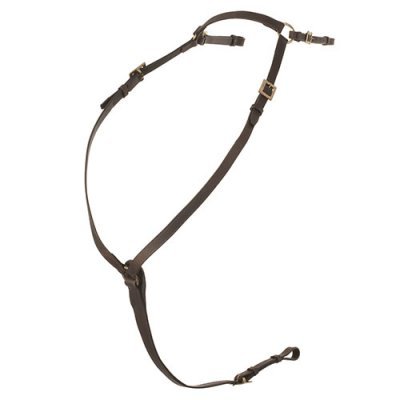 Acessório de couro castanho para animal com fivelas metálicas douradas