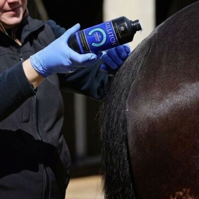 Pessoa a aplicar líquido na cauda de um cavalo com frasco rotulado KILLITCH