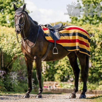 Cavalo com manta às riscas amarelas, vermelhas e pretas e sela preta