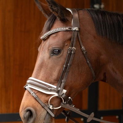 Cavalo com cabedal de couro castanho e branco com pedraria na testa