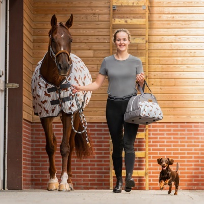 Mulher com roupa desportiva segura bolsa e cavalo com manta estampada, cão pequeno ao lado.
