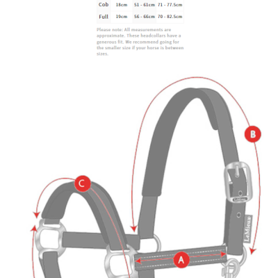Guia de tamanhos para cabresto de neoprene com medidas e imagem ilustrativa.
