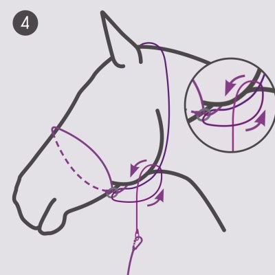 Ilustração de cabeça de cavalo com corda ajustável e setas de orientação