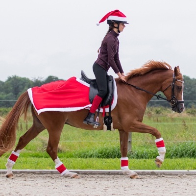 Cavalo castanho com equipamentos vermelhos e brancos e cavaleira com gorro de Natal