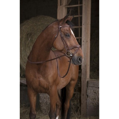 Cavalo castanho com rédeas marrons no estábulo