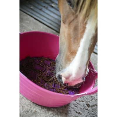 Cavalo a comer num alimentador de plástico rosa no chão de cimento.