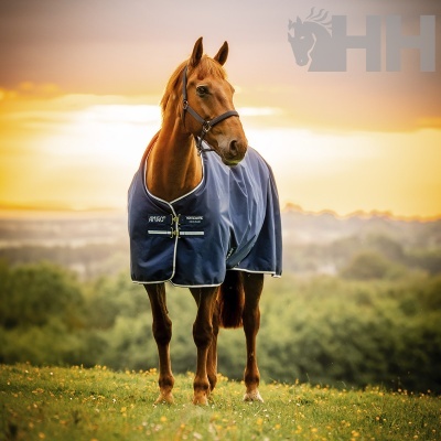 Cavalo castanho com manta azul escura num campo durante o pôr do sol