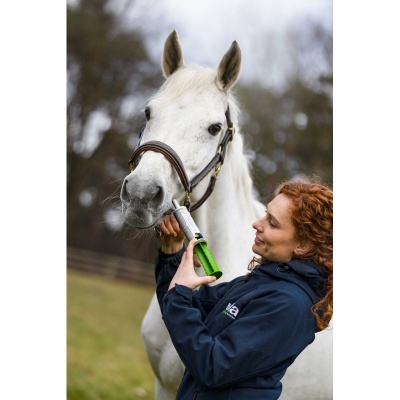 Mulher a dar medicamento a cavalo branco com aplicador verde e branco