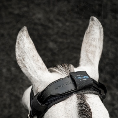 Orelhas de burro com cabeçada preta e etiquetas HORSEWARE ICONIC