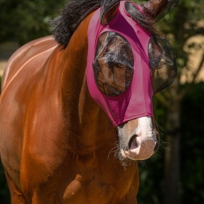 Cavalo com máscara de malha rosa e preta ao ar livre