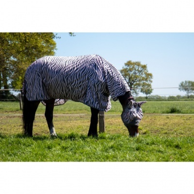 Cobertura tipo manta zebra para cavalo num campo