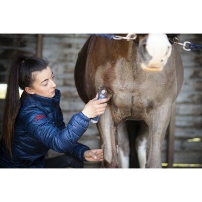 Mulher a tosquiar perna de cavalo com máquina elétrica dentro de estábulo