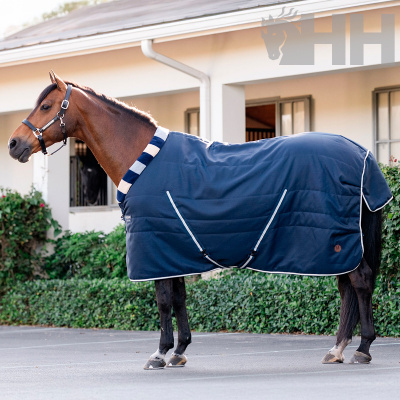 Cavalo castanho com manta azul em pavimento junto a edifício branco