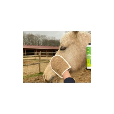 Luvas casamento castanhas e brancas usadas para limpeza em cavalo castanho claro