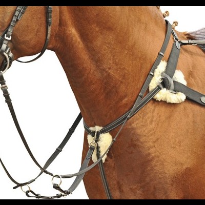 Cavalo castanho com arreios e sela preta, almofadas brancas, fundo branco