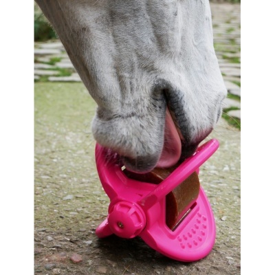 Ferradura rosa com areia abrasiva no casco de cavalo branco