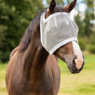 Cavalo com máscara protetora branca de malha no campo