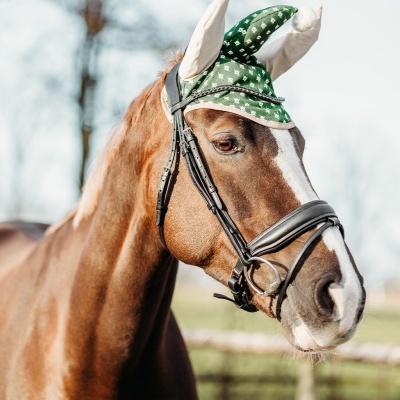 Cavalo castanho usando mosquiteiro verde com padrão branco e rédea preta ao ar livre