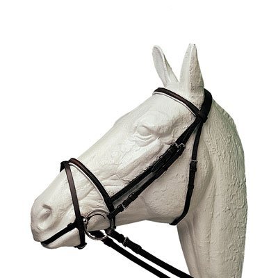 Cabeça de cavalo branco com cabedal preto em fundo branco
