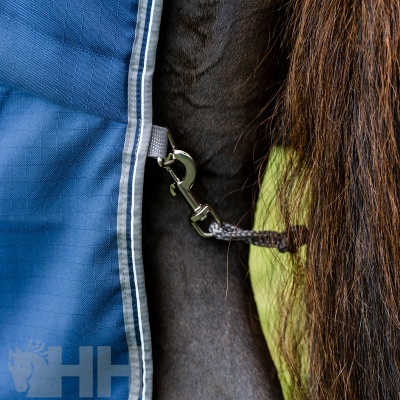Close de manta azul com fivela prateada presa a cavalo castanho escuro