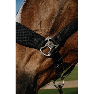 Peitoral preto de nylon com fivela metálica em cavalo castanho