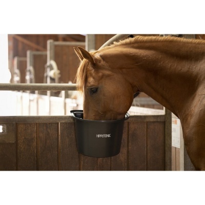 Cavalo castanho a beber de um balde preto numa estrutura de estábulo de madeira.