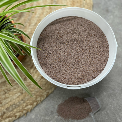 Balde branco cheio de sementes castanhas com pá e planta ao lado