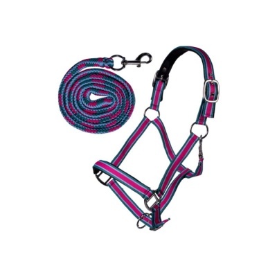 Conjunto de cabresto e guia para equitação colorido listrado