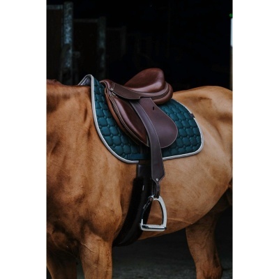 Sela de equitação castanha com mantilha verde sobre cavalo castanho