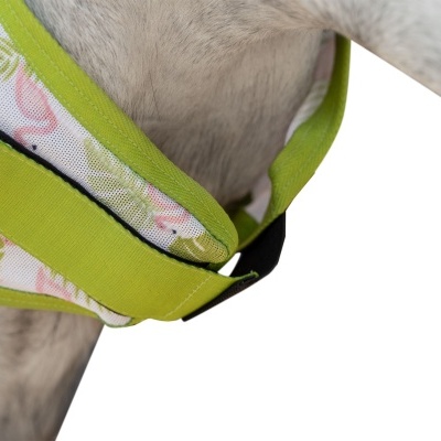 Colar para cão com padrão de folhas e flores em verde e rosa