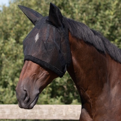 Cavalo castanho com máscara repelente preta ao ar livre