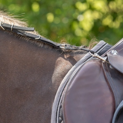 Sela de equitação em couro castanho escuro num cavalo castanho