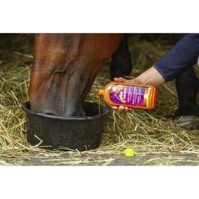Cavalo a beber água de um recipiente preto com uma mão a segurar uma garrafa laranja