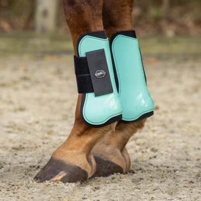 Protecções verdes para pernas de cavalo com tiras pretas