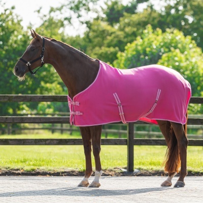 Cavalo castanho usando manta rosa com fechos e tiras ao ar livre